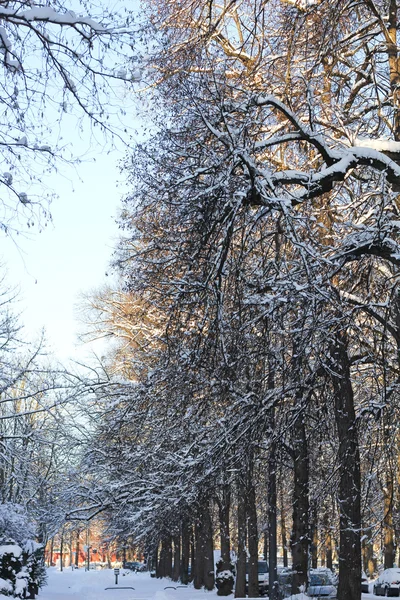 Inverno a Monaco — Foto Stock