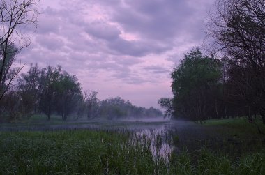 puslu sabah