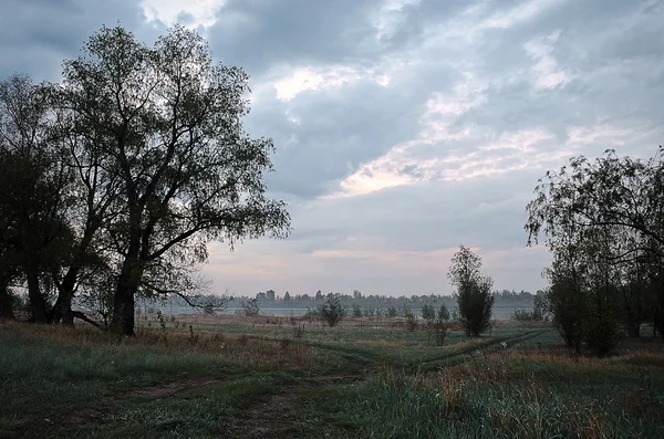 Rozwidlenie dróg — Zdjęcie stockowe