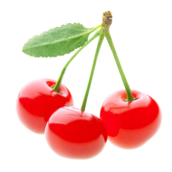 Cerejas vermelhas maduras isoladas sobre fundo branco — Fotografia de Stock