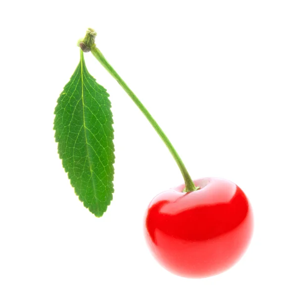 Ripe red cherry isolated on white background — Stock Photo, Image