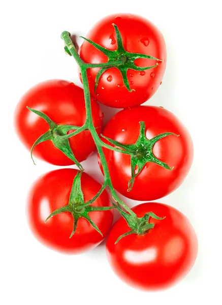 Pomodori freschi isolati — Foto Stock