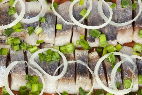 Salted herring — Stock Photo, Image