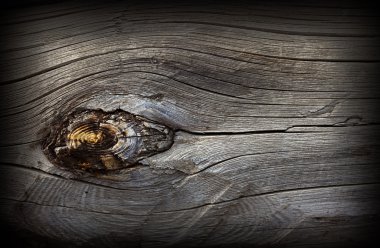 eski ahşap doku kurutulmuş