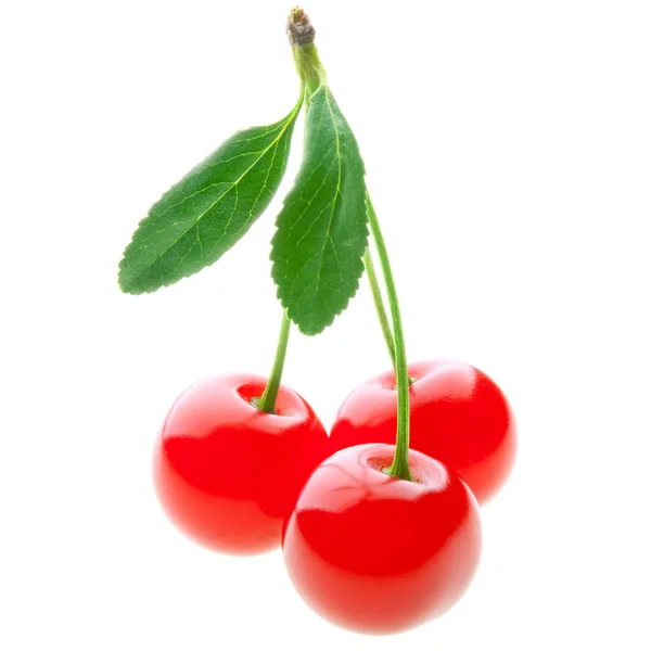 Cerezas rojas maduras aisladas sobre fondo blanco —  Fotos de Stock
