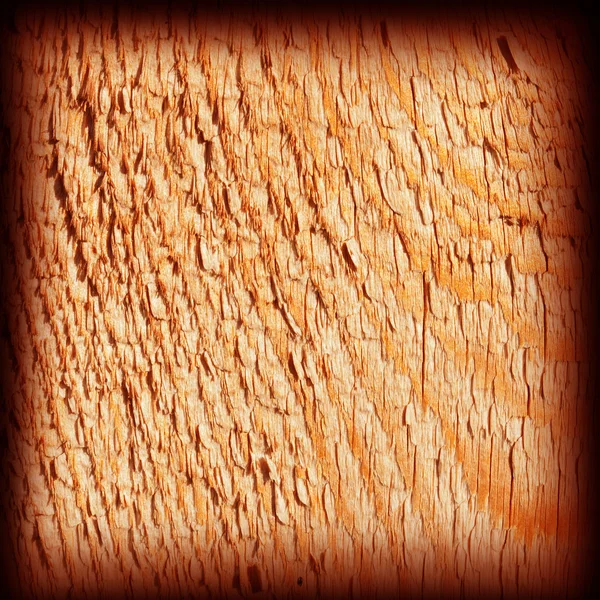 Texture de bois séché jaune — Photo