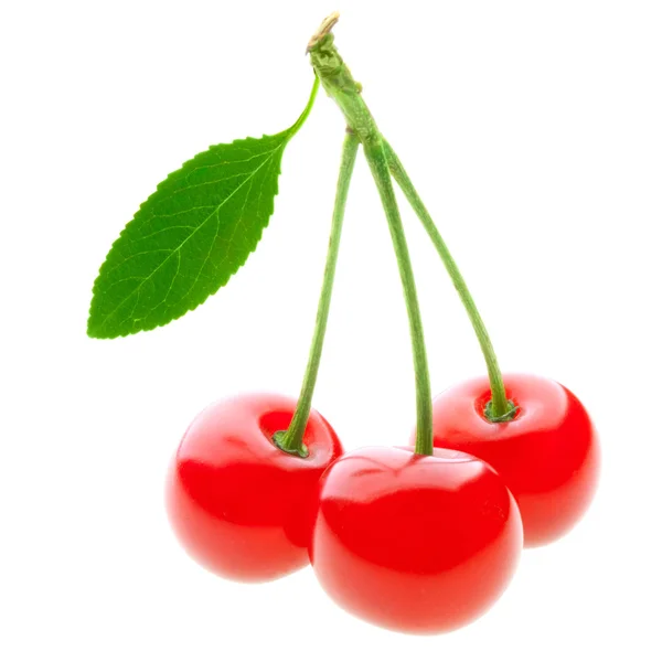 Cerejas vermelhas maduras isoladas sobre fundo branco — Fotografia de Stock