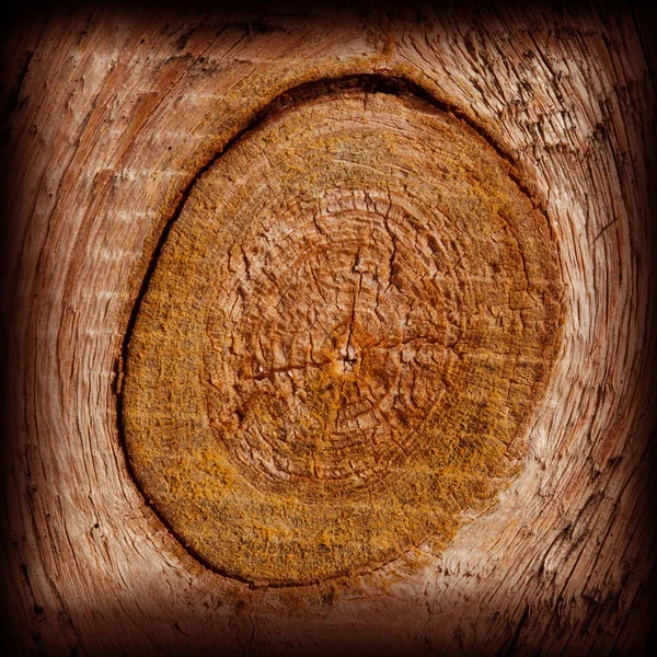 Knot old dried wood texture — Stock Photo, Image