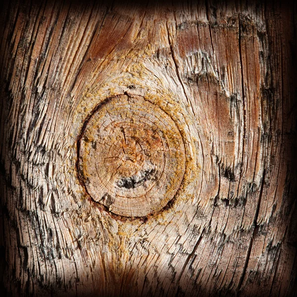 Nodo vecchio legno secco texture — Foto Stock