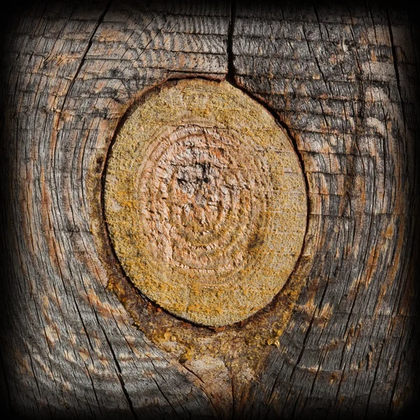 Knot old dried wood texture — Stock Photo, Image