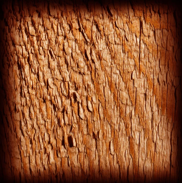 Ciemnopomarańczowy suszony tekstura drewna — Zdjęcie stockowe