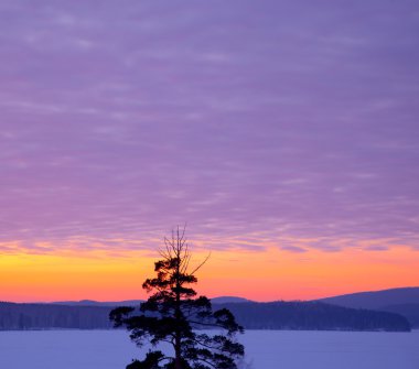 bir kış akşamında güzel gün batımı