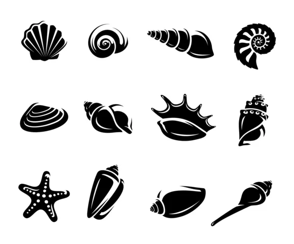 Seashells set. Vector — Stock Vector