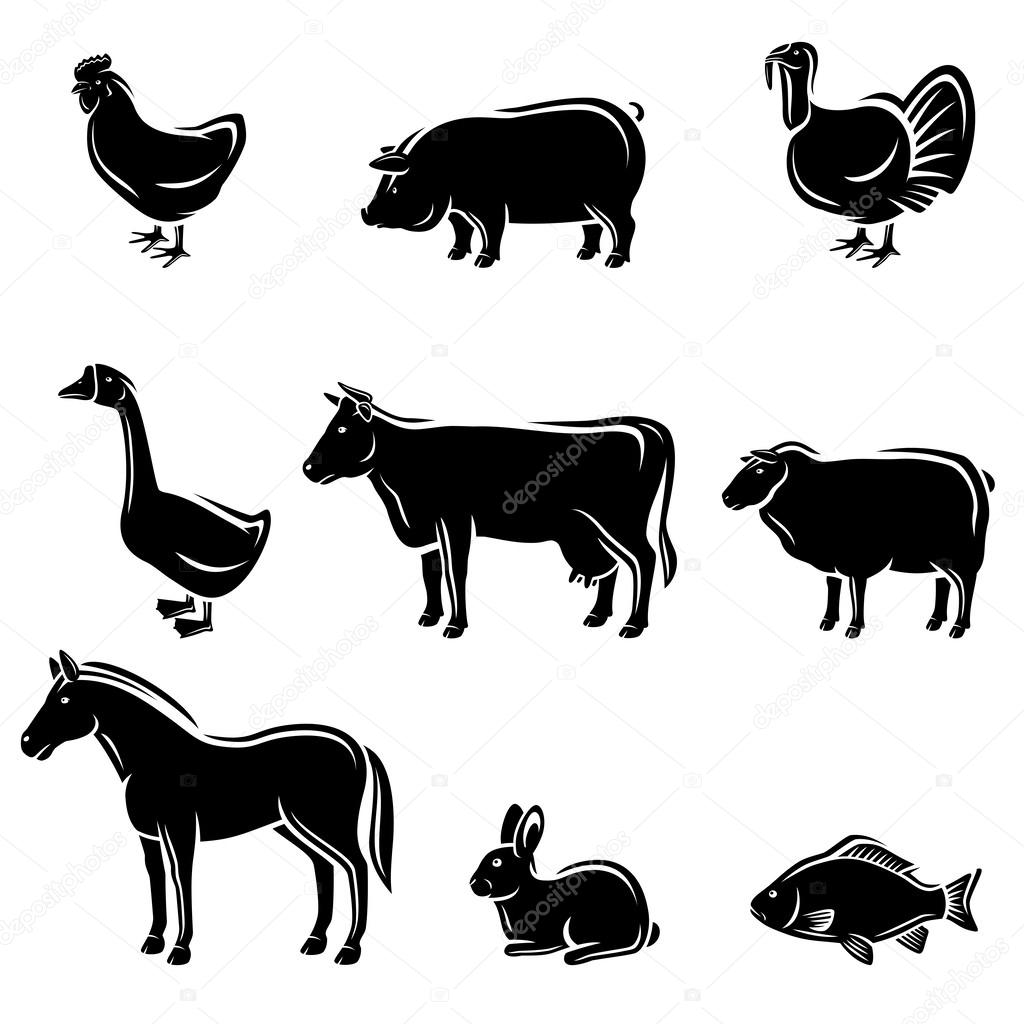 Farm animals set. Vector