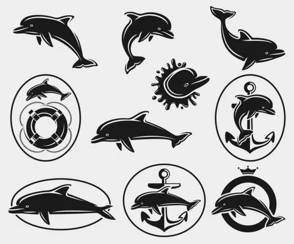 海豚组。矢量 — 图库矢量图片