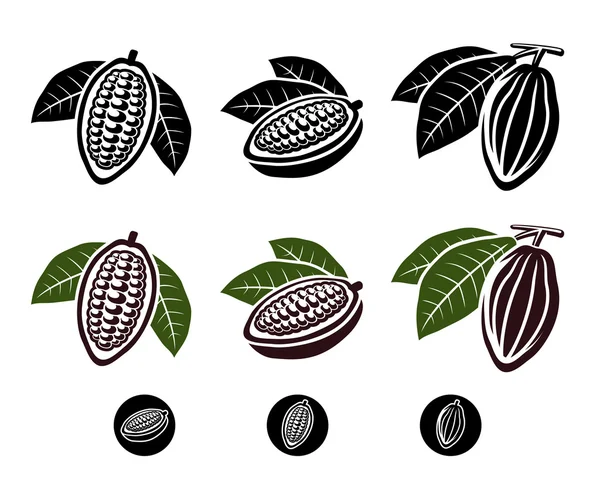 Cacao beans set — Stock Vector