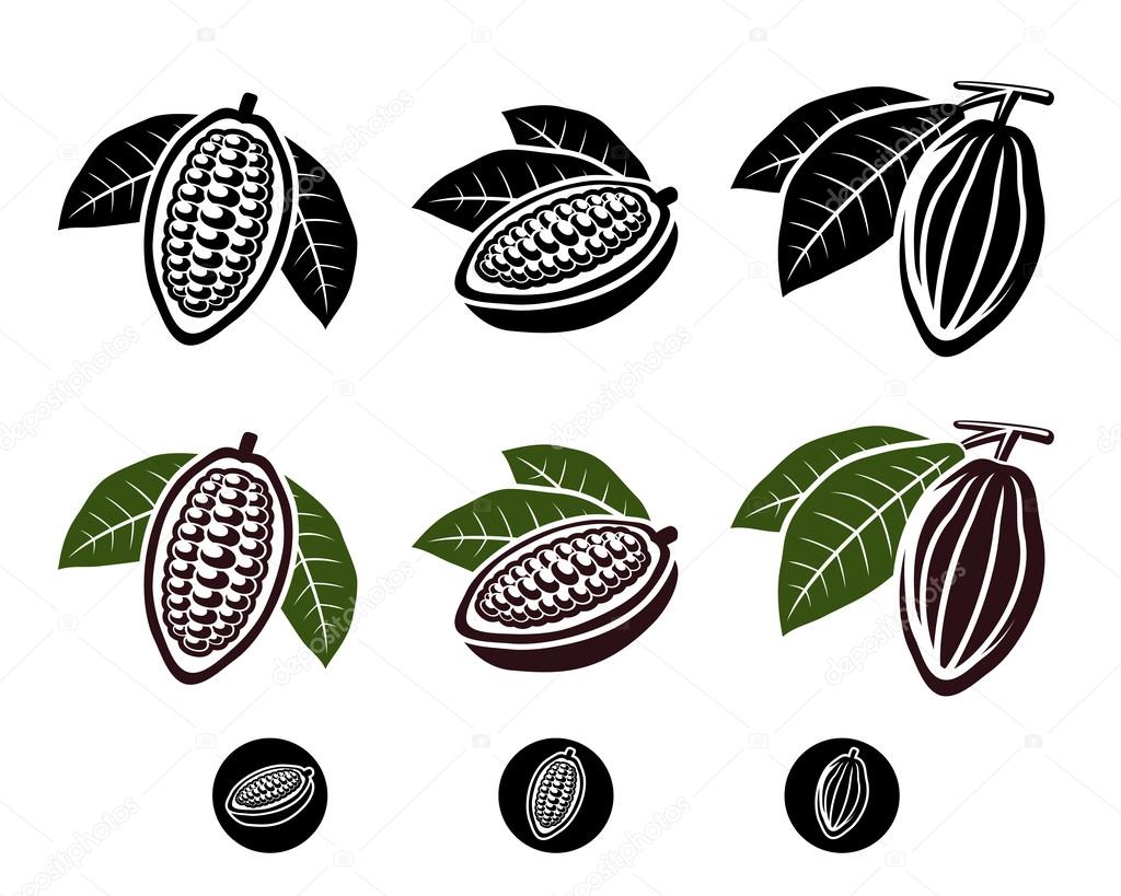 Cacao beans set