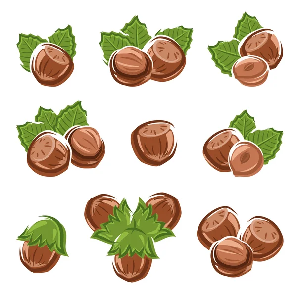 Hazelnut nuts set — Stock Vector