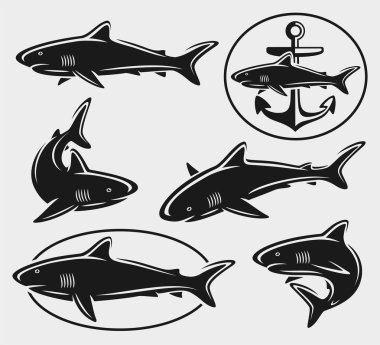 köpekbalığı seti.