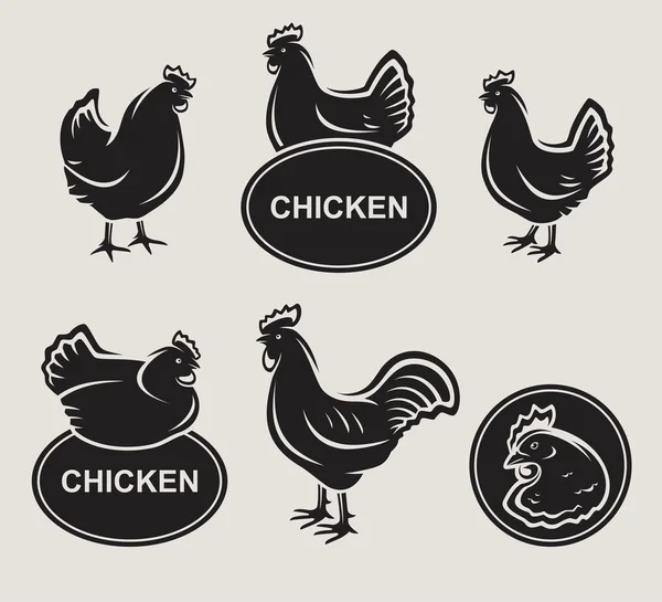 Chicken set — Stock Vector