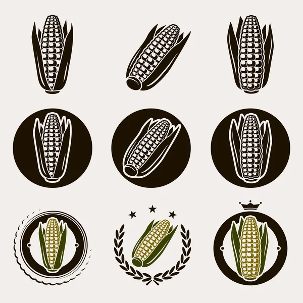 Corn label and icons set — Stock Vector