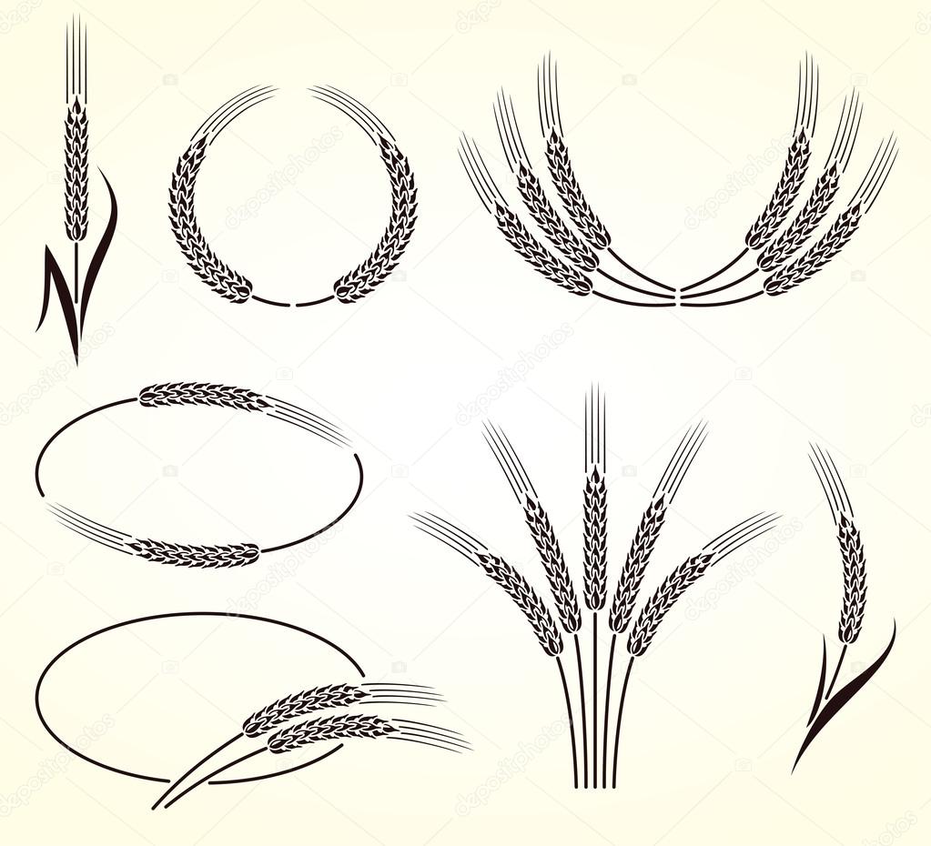 Ears of wheat and rye set