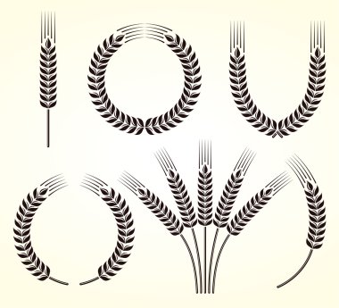 Ears of wheat and rye set clipart