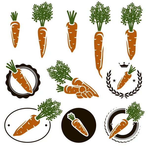 Conjunto de zanahoria . — Vector de stock