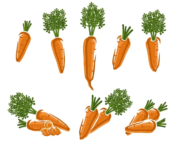 Conjunto de zanahoria . — Vector de stock