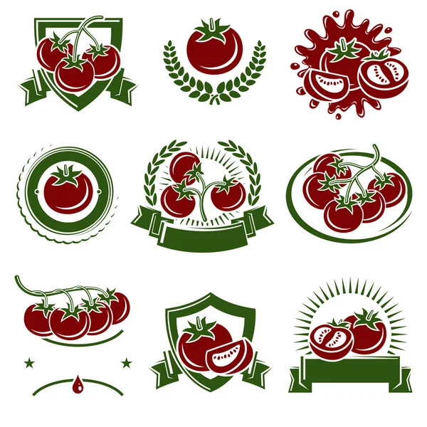 Tomatetikett Och Ikoner Inställda Samlingsikontomat Vektorillustration — Stock vektor