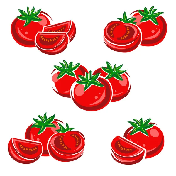 Conjunto Tomate Icono Colección Tomate Ilustración Vectorial — Vector de stock