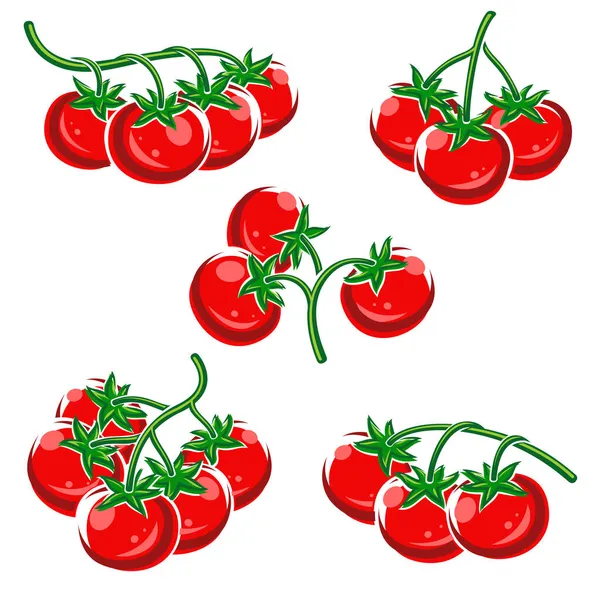 Tomatenset Collectie Icoon Tomaat Vectorillustratie — Stockvector