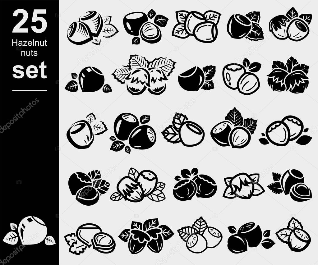 Hazelnut nuts set. Collection icon hazelnut nuts. Vector illustration