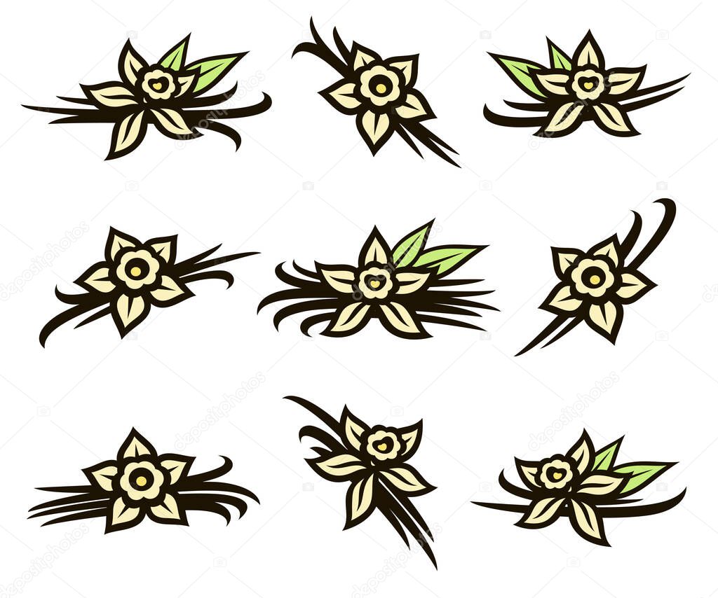 Vanilla set. Collection icon vanilla. Vector illustration