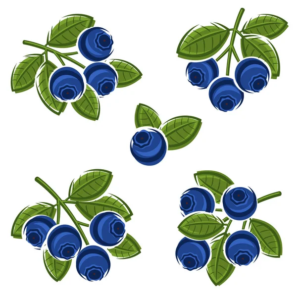 Blueberries Definidas Coleção Ícone Mirtilos Ilustração Vetorial —  Vetores de Stock