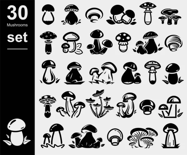 Set Hongos Colección Setas Icono Ilustración Vectorial — Vector de stock