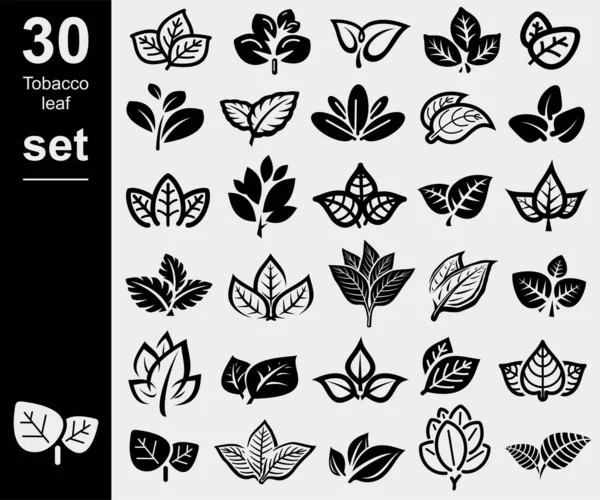 Tobacco Leaf Icons Set Collection Icon Tobacco Vector Illustration — Stock Vector