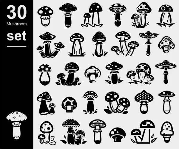 Set Funghi Collezione Icona Fungo Illustrazione Vettoriale — Vettoriale Stock