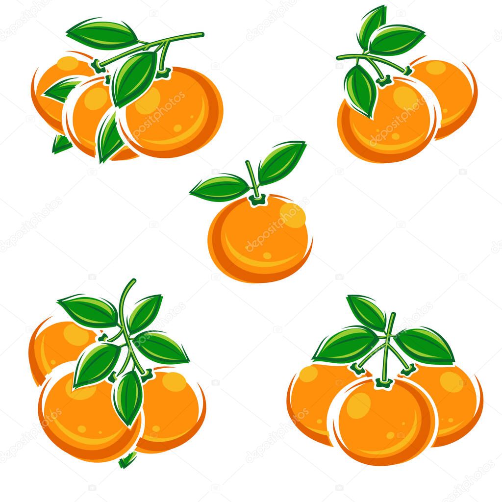 Mandarin set. Collection icons mandarin. Vector illustration