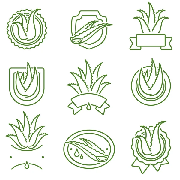 Set Etiquetas Elementos Aloe Vera Icono Colección Aloe Vera Ilustración — Vector de stock