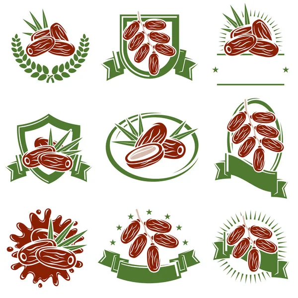 Fechas Etiquetas Frutas Elementos Establecidos Icono Colección Fecha Fruta Ilustración — Archivo Imágenes Vectoriales