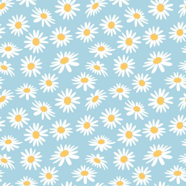 Mavi arka planda beyaz papatyalar. Çiçekli, pürüzsüz desen vektörü.