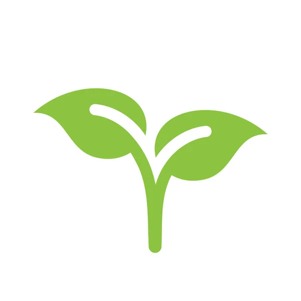 Młode Rośliny Kiełkują Zieloną Ikonę Wektora Liść Liście Bio Symbol — Wektor stockowy