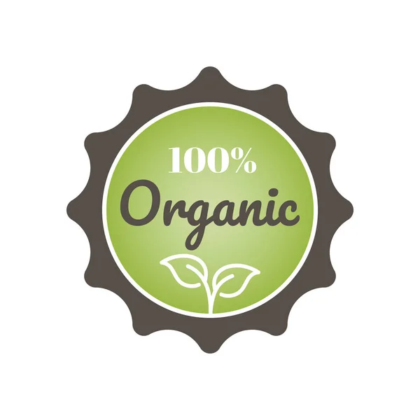 100 Organische Bunte Vektor Etikett Produktstempel Aufkleber Oder Abzeichen — Stockvektor