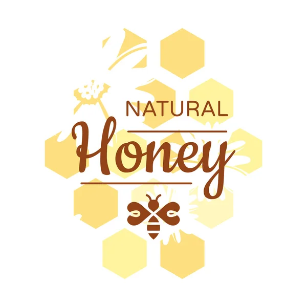 Buntes Honigvektoretikett Mit Wabe Natürlicher Honig Und Bienensymbol Oder Logo — Stockvektor