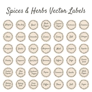 Baharatlar ve bitkiler mutfak kavanozu için vektör etiketi. Baharat çemberi vintage etiketleri.