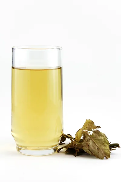GREEN TEA — Stock Photo, Image