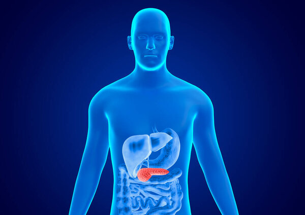 Human body blue hologram. Pancreatitis is a serious inflammation of the pancreas. 3D illustration