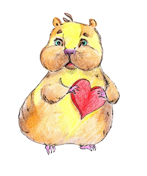 Netter Hamster Mit Rotem Herz Als Symbol Für Liebe Und — Stockfoto