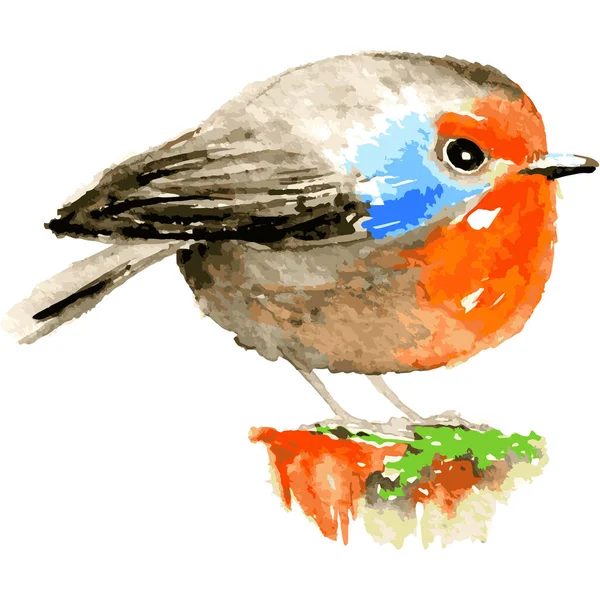 Elle çizilmiş turuncu kuş çizimi. Renkli ve komik Robin Bird boyama vektörü suluboya gibi